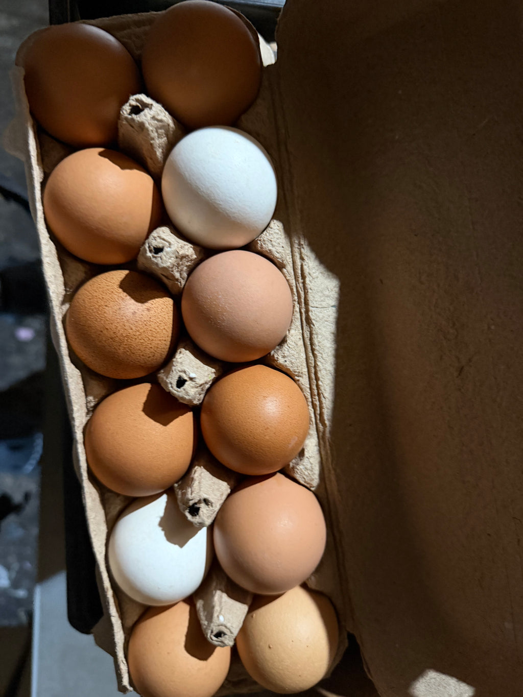 1 Dozen XL Eggs